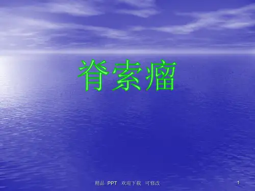 《脊索瘤》精品课件
