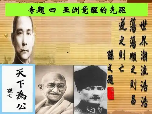 高三历史专题四“亚洲觉醒”的先驱 复习名师课件