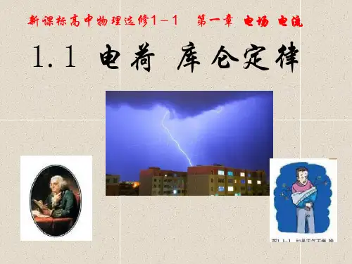 1.1《电荷 库仑定律》课件 新人教版选修1-1