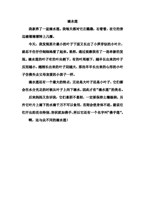 人教版四年级语文园地二习作 观察作文《滴水莲》