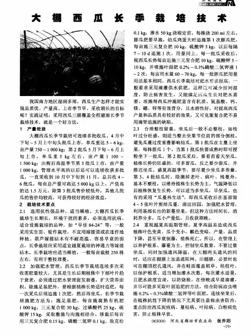 大棚西瓜长季栽培技术