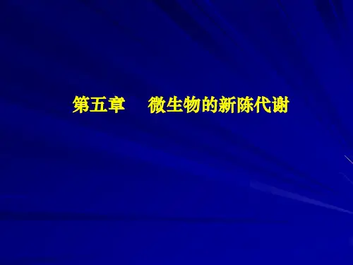 微生物的能量代谢