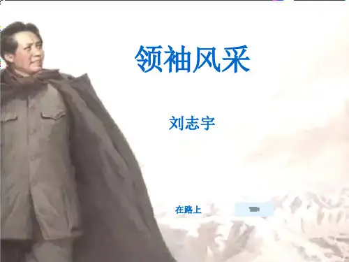领袖风采