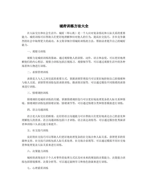城府训练方法大全