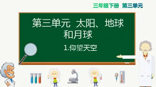 教科版三年级科学下册第三单元PPT课件