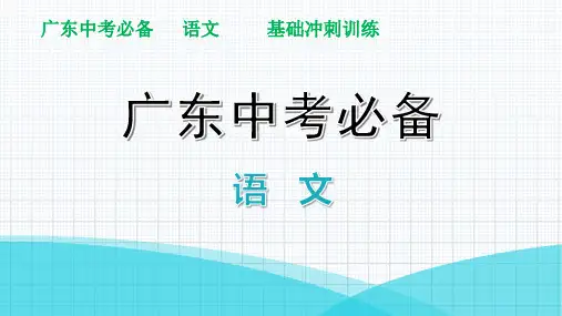 文言文阅读冲刺训练(二)讲练—广东省2021届中考语文分类复习ppt精品课件