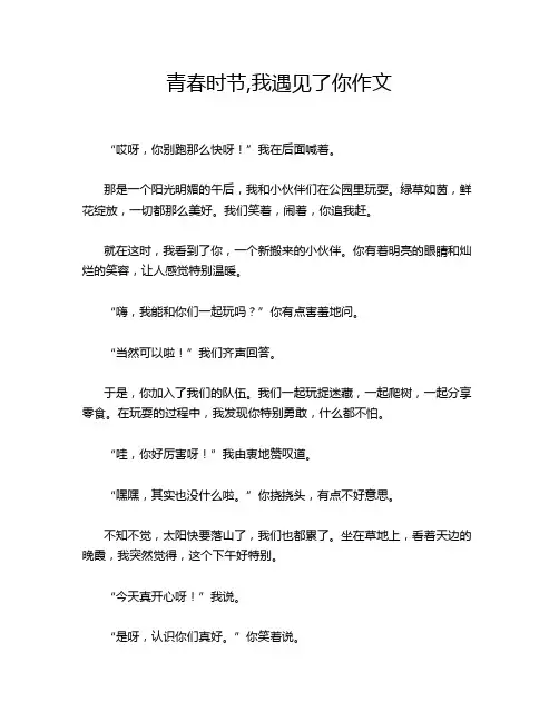 青春时节,我遇见了你作文