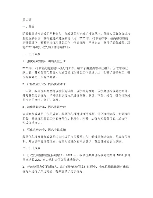 行政处罚年度总结(3篇)