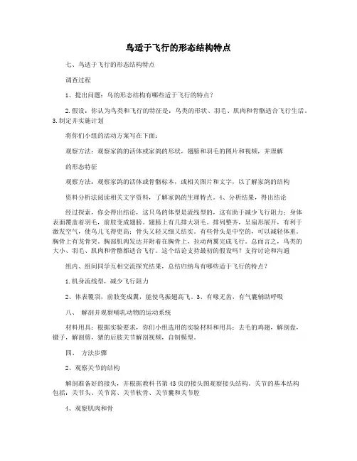 鸟适于飞行的形态结构特点
