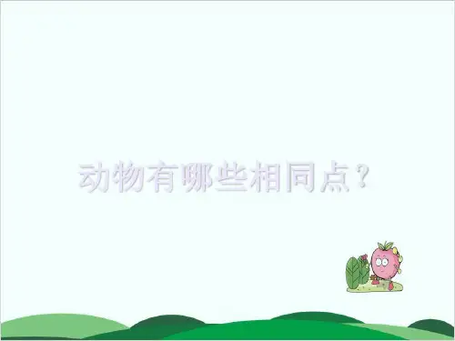 教科版PPT课件《动物有哪些相同特点》专家课件1