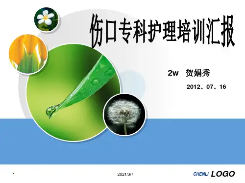伤口专科培训PPT课件