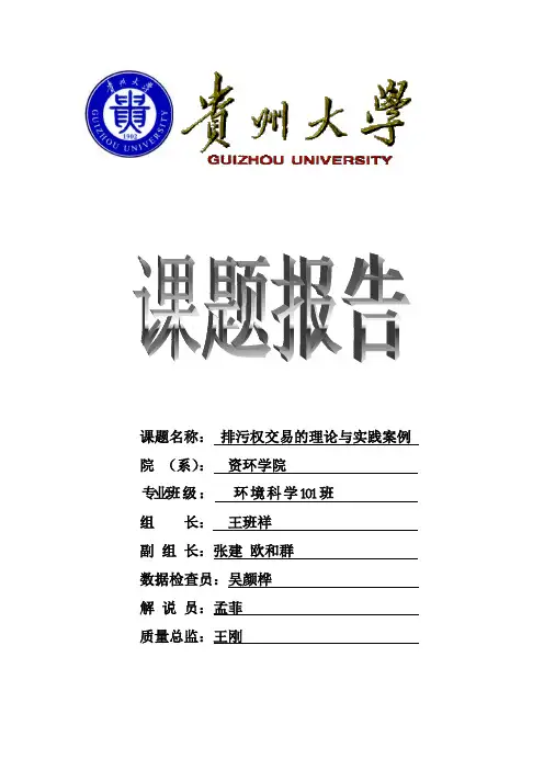 排污权交易的理论及实践案例课题报告