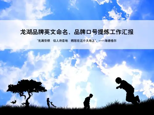 龙湖地产品牌英文命名、品牌口号提炼工作汇报