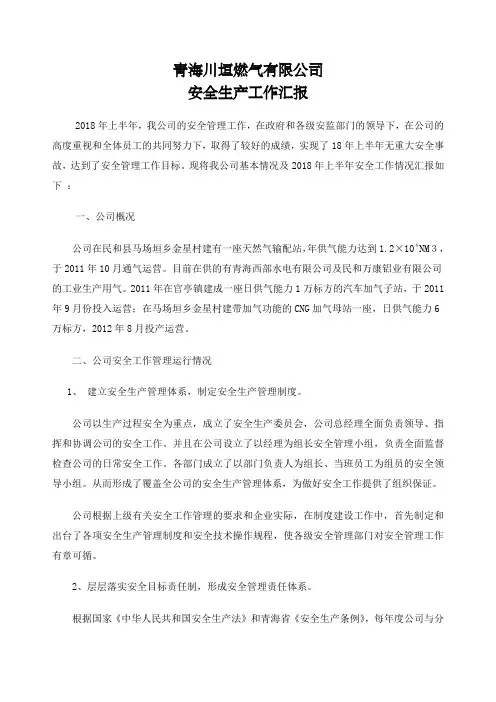 公司安全生产工作汇报材料3