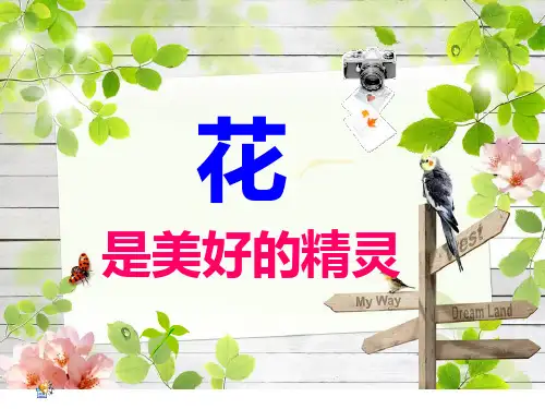 湘美版美术四年级下册 6 花团锦簇 课件 (共47张PPT)
