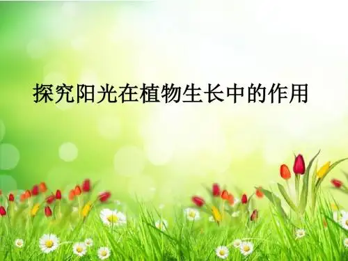 苏科版七上生物 3.4.1植物的光合作用 说课课件   (共19张PPT)