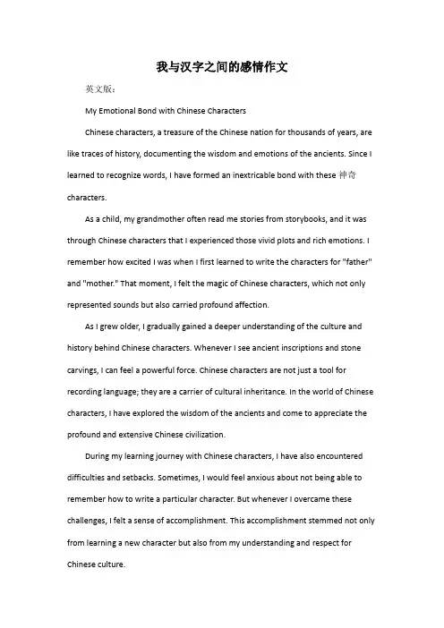 我与汉字之间的感情作文