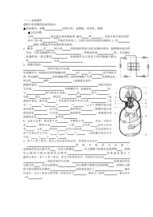 血液循环系统2基础知识检测