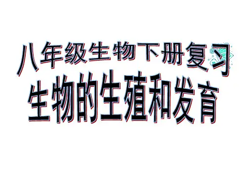 【中考复习】总复习  生物的生殖和发育复习课