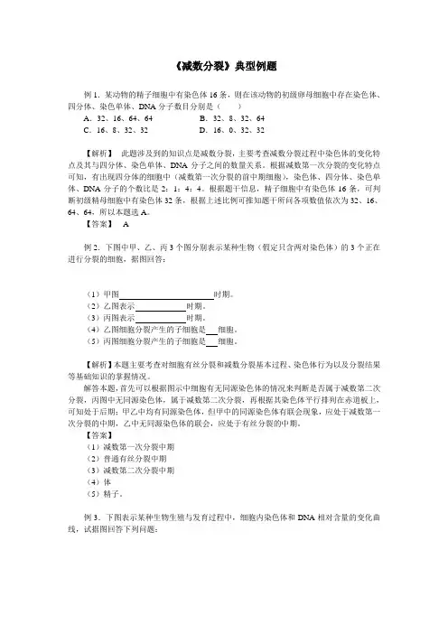《减数分裂》典型例题