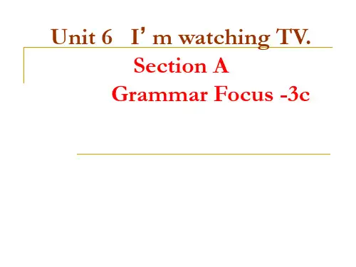 人教版英语七年级下册 Unit6 SectionA grammar-3c 课件