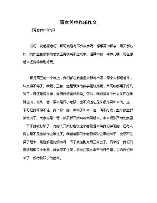 青春苦中作乐作文