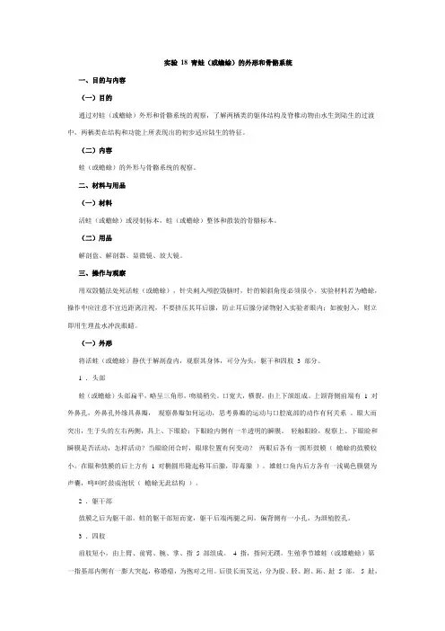 青蛙(或蟾蜍)的外形和骨骼系统