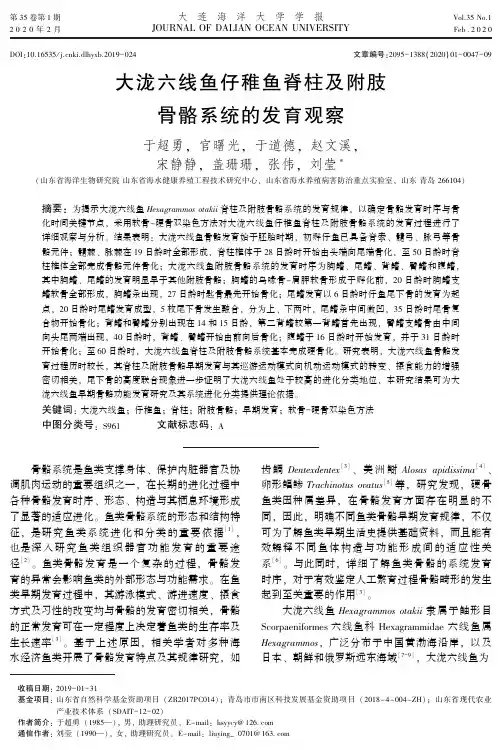 大泷六线鱼仔稚鱼脊柱及附肢骨骼系统的发育观察