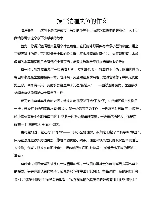 描写清道夫鱼的作文