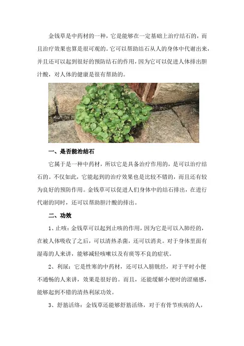 金钱草能治结石吗,金钱草的功效