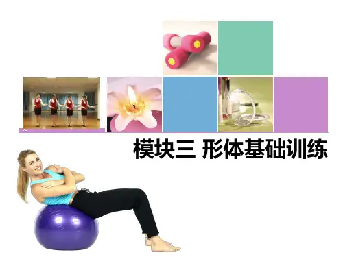 《形体训练教程》课件03形体基础训练
