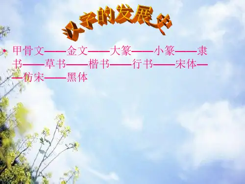甲骨文--金文--大篆--小篆--隶书--草书--楷书...