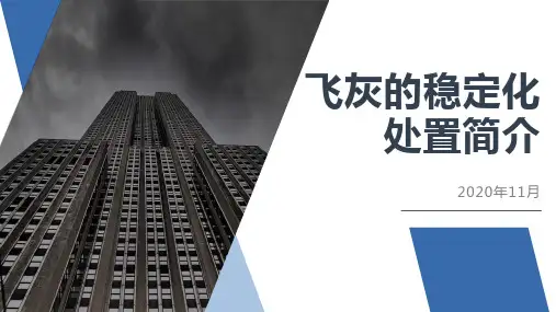 飞灰的稳定化处置