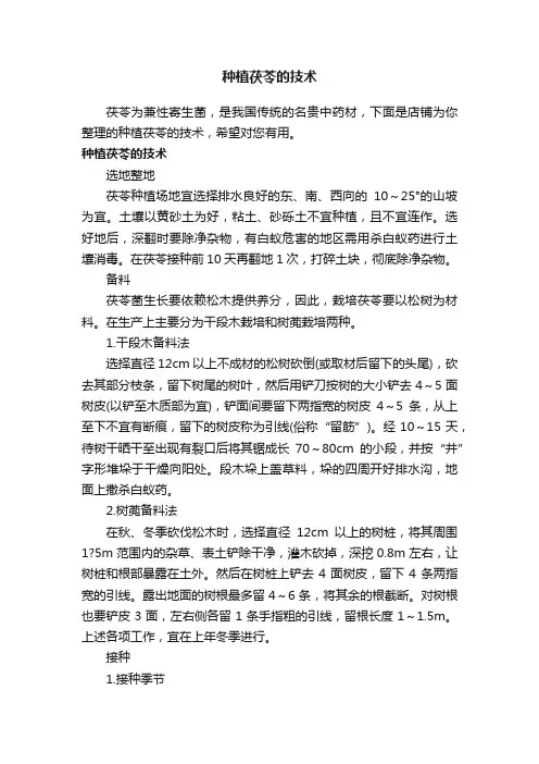 种植茯苓的技术