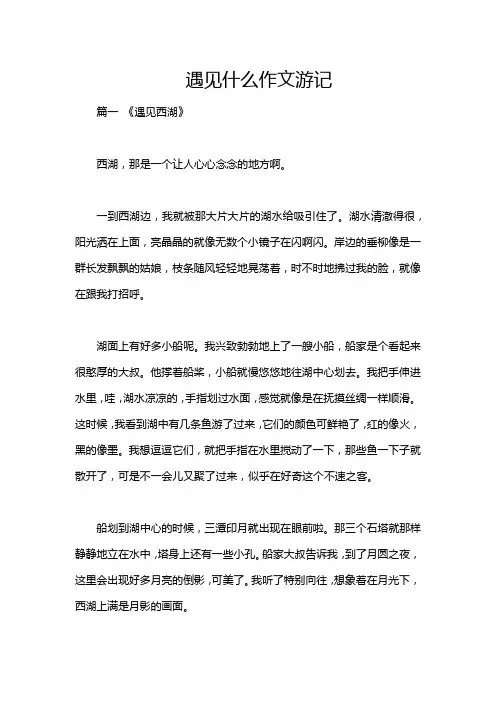 遇见什么作文游记