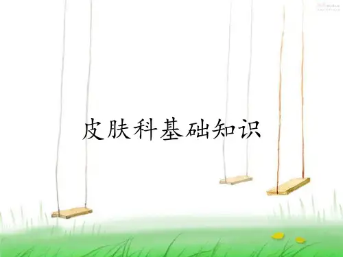 皮肤科基础知识