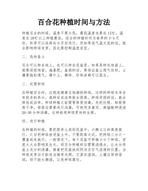 百合花种植时间与方法