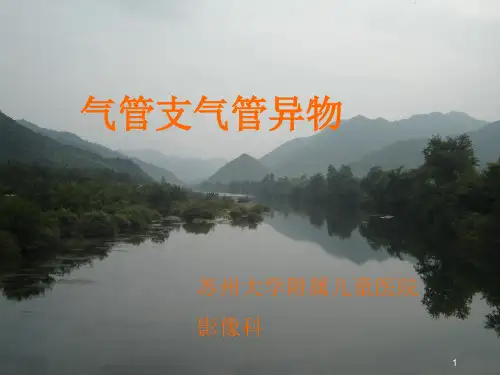 气管支气管异物PPT演示课件