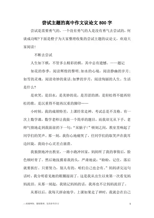 尝试主题的高中作文议论文800字