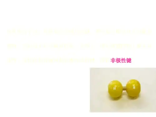 极性分子和非极性分子(PPT)4-2