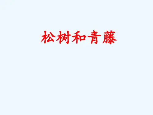 松树和青藤