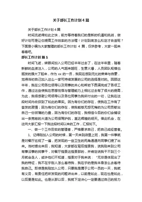 关于部长工作计划4篇
