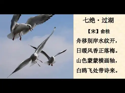 六年级人教版语文上册第7单元21《老人与海鸥》ppt课件