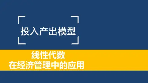 1.4 应用案例-投入产出模型