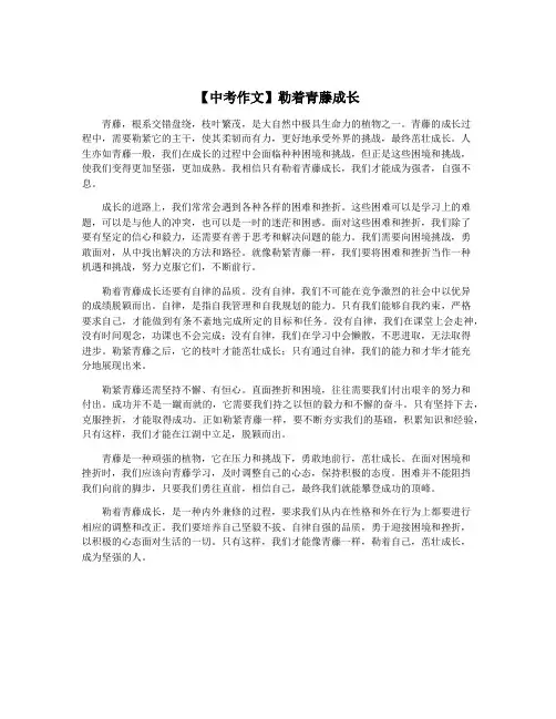 【中考作文】勒着青藤成长
