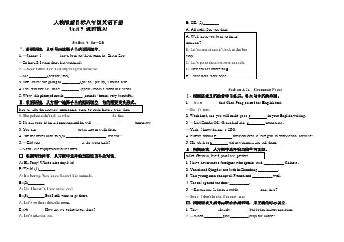 人教版新目标八年级英语下册 Unit 9 课时练习(含答案)