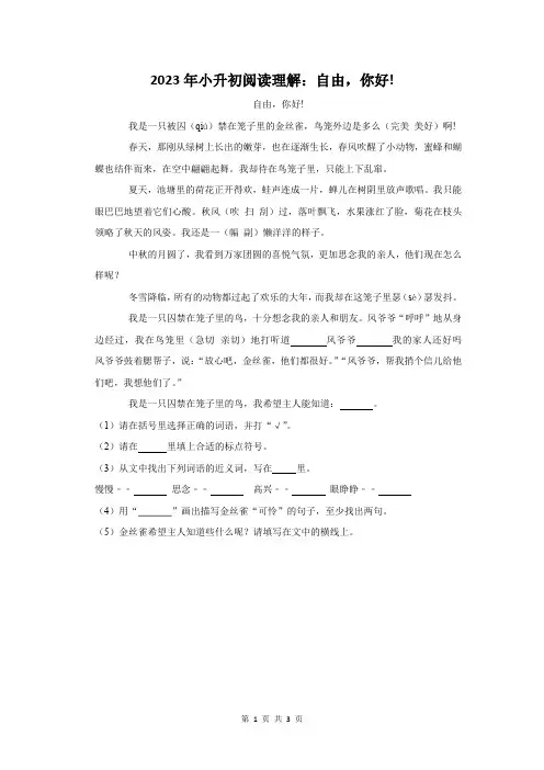 2023年小升初语文阅读理解：自由,你好!(附答案解析)