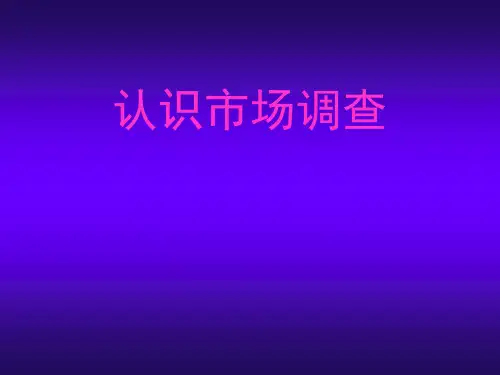 推荐-市场调查没有调查就没有发言权 精品
