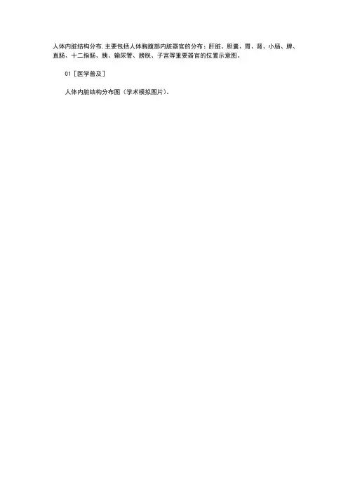 最全人体内脏结构图(医学图谱)07543