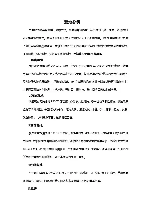 湿地分类